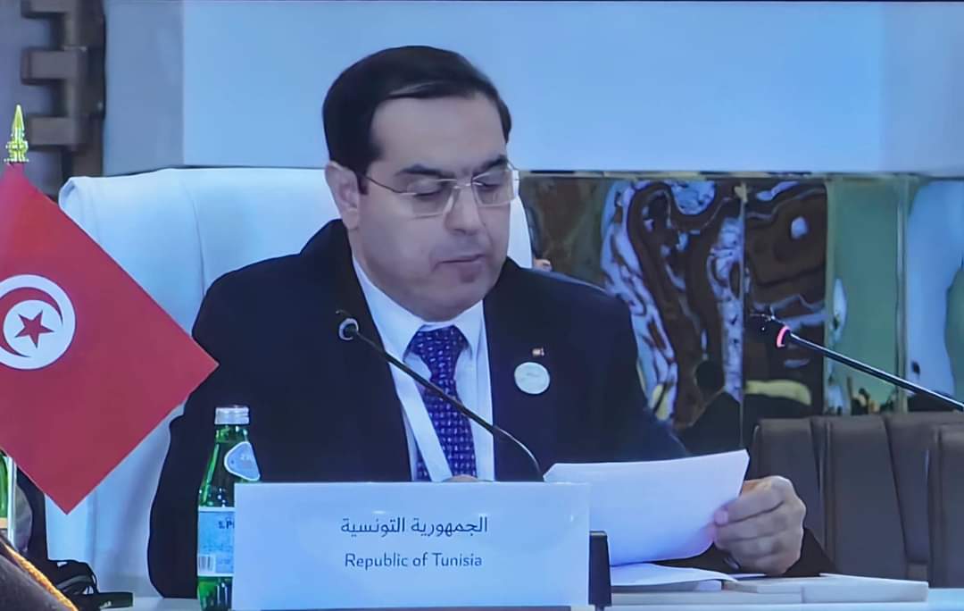 كاتب الدولة للخارجية يؤكد استعداد تونس للانخراط بالجهود المشتركة للارتقاء بالتعاون مع دول آسيا الوسطى وأذربيجان