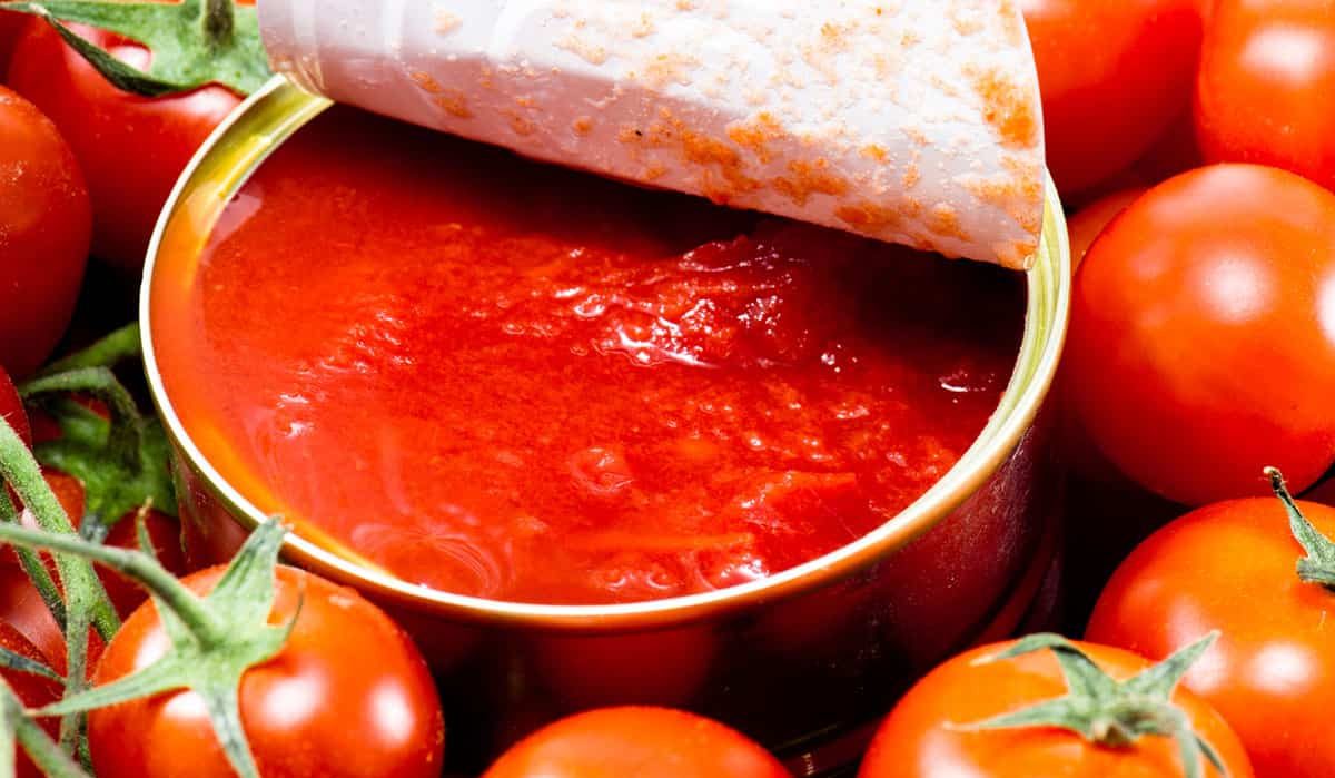 نقص الطماطم المُعلّبة بالأسواق.. عضو بالجامعة الوطنية للطماطم يكشف الأسباب لـ"الصباح نيوز"