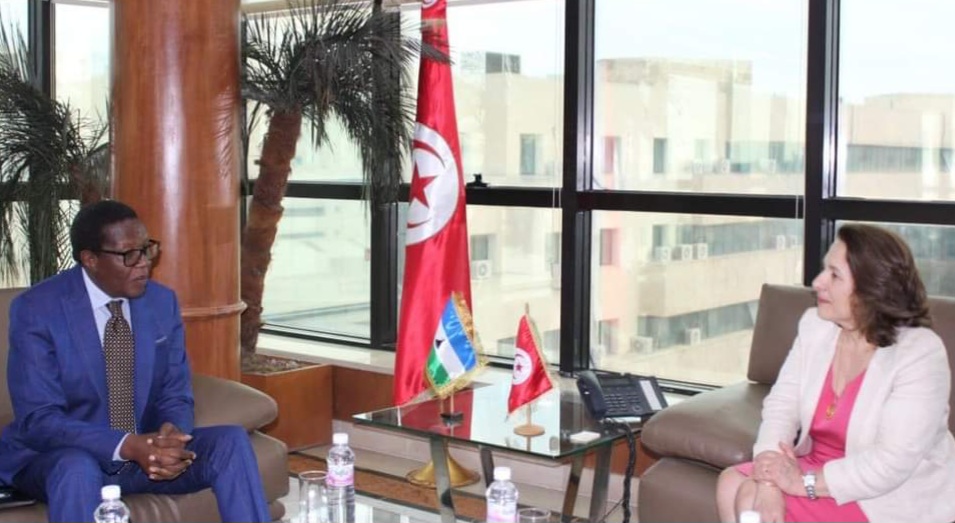 نحو تعزيز التعاون التونسي  الليسوتي في مجال الكهرباء 