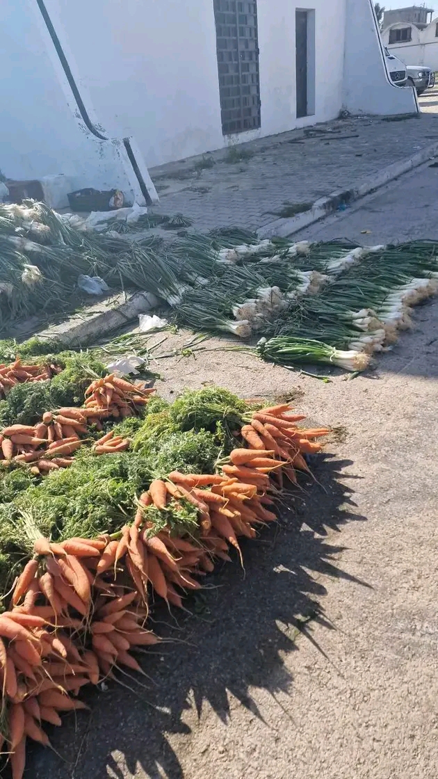 بوعرقوب.. نقص في عرض بعض أصناف الخضر بالسوق الأسبوعية 2 1732021507867.jpg