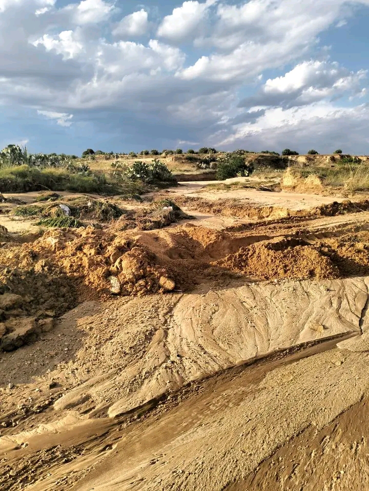 1780229639084.jpg