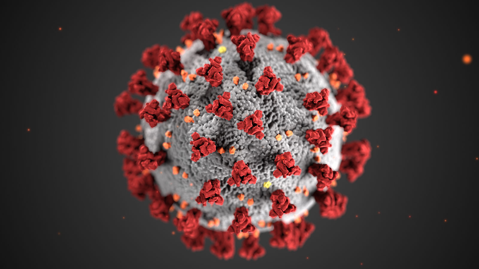  فيروس كورونا: لقاح جديد يعطي مناعة لمدة 8 أشهر
