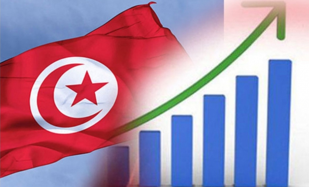 هيكلة المؤسسات العمومية في قلب الإصلاحات الاقتصادية والاجتماعية في تونس..