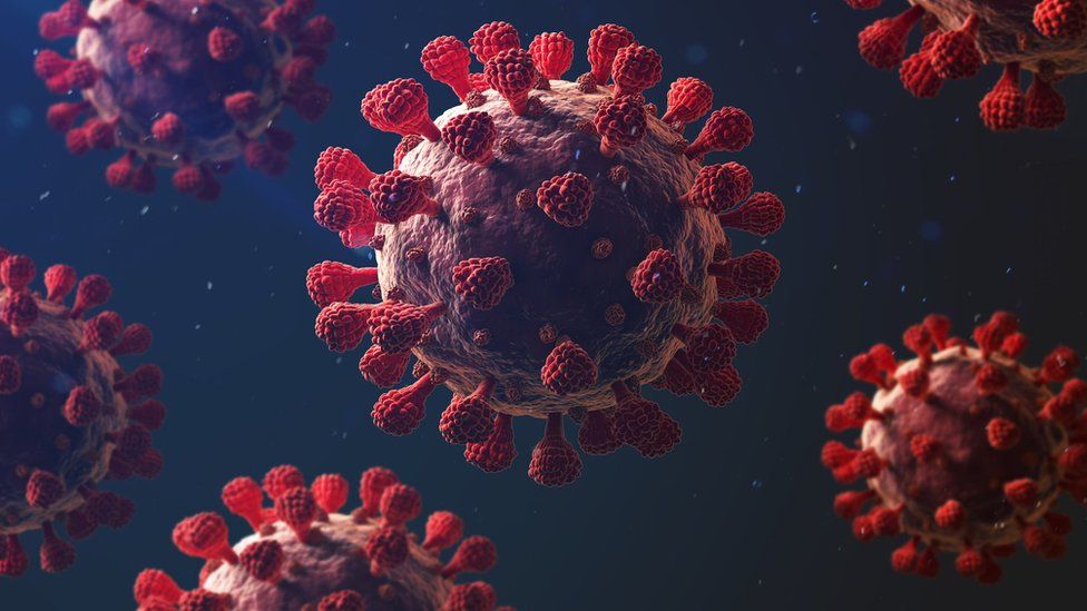 الولايات المتحدة وبريطانيا تدعوان منظمة الصحة لمراجعة الدراسة حول منشأ فيروس كورونا