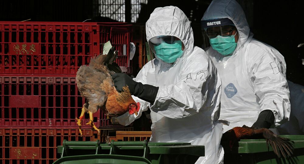الصين.. تسجيل أول إصابة بشرية في العالم بإنفلونزا الطيور