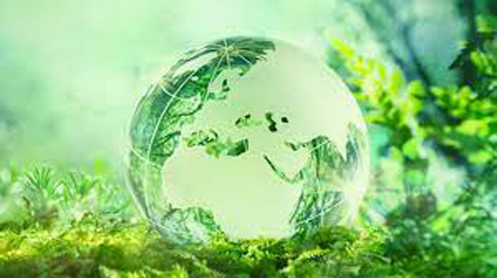 في اليوم العالمي للبيئة: تونس و تأهيل المنظومات البيئية 