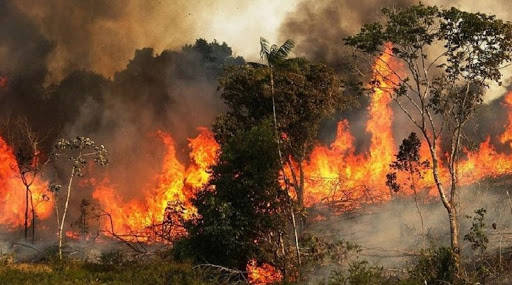 القـيروان.. بعد تفحم  مئات الهكتارات ،السيطرة على حريق محمية زغدود 