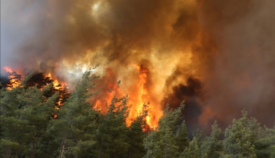 تركيا إجلاء مئات السكان من مدينة ميلاس مع اقتراب الحرائق من محطة للطاقة الحرارية