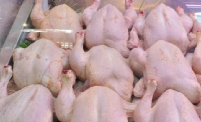 القصرين: حجز حوالي 10 آلاف من  الدجاج المعد للترويج خارج المسلك القانوني... 