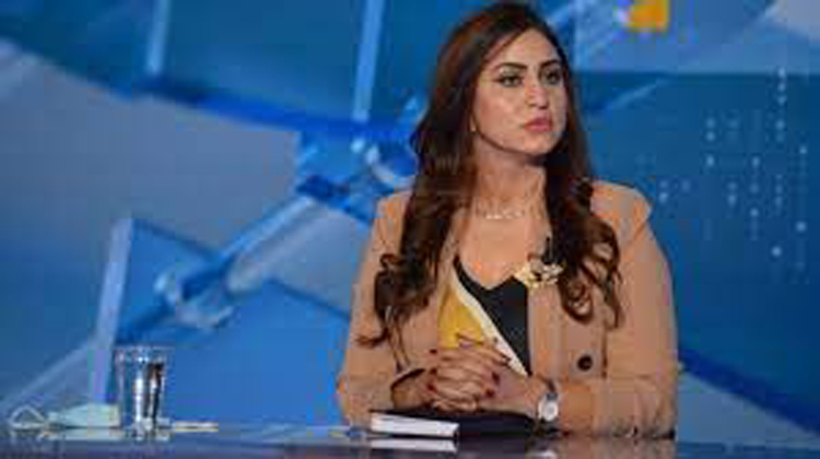 رئيسة نقابة القضاة: السنة القضائية الجديدة ستكون فعالة لاصلاح المنظومة القضائية 