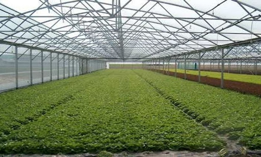 بعد غياب 40 سنة عن القارة الافريقية:  تونس تحتضن اشغال المؤتمر العالمي لحركات الفلاحة البيولوجية لسنة 2024