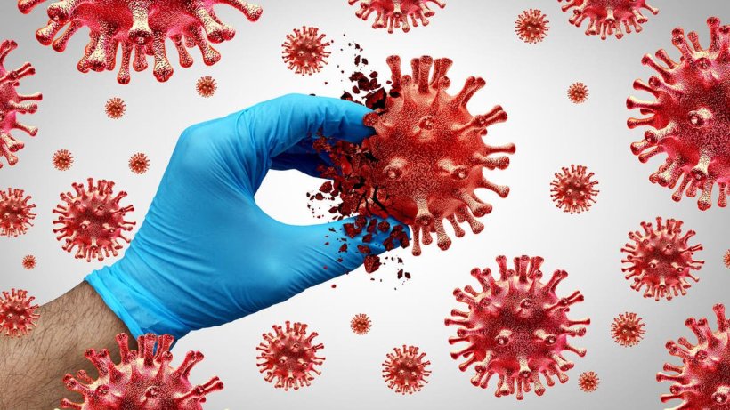 تجويع الفيروس".. علماء يكتشفون حلاً لمقاومة كوفيد 19
