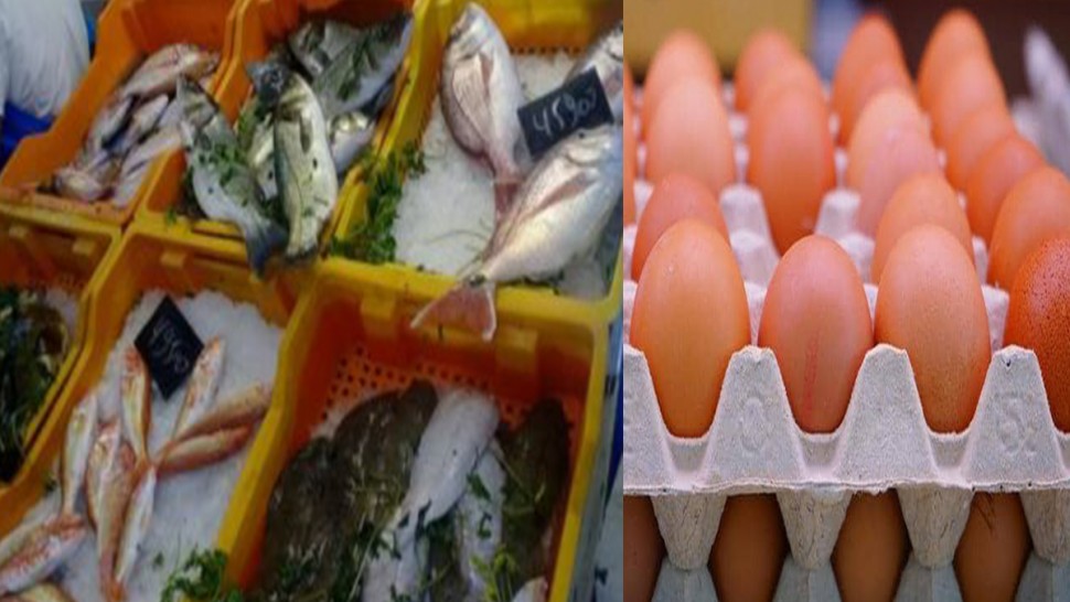  ابتداء من الإثنين.. تحديد أسعار بيع البيض والأسماك 