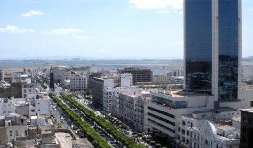 تونس تبدأ التحضير للتعداد العام للسكان والسكنى لسنة 2024 