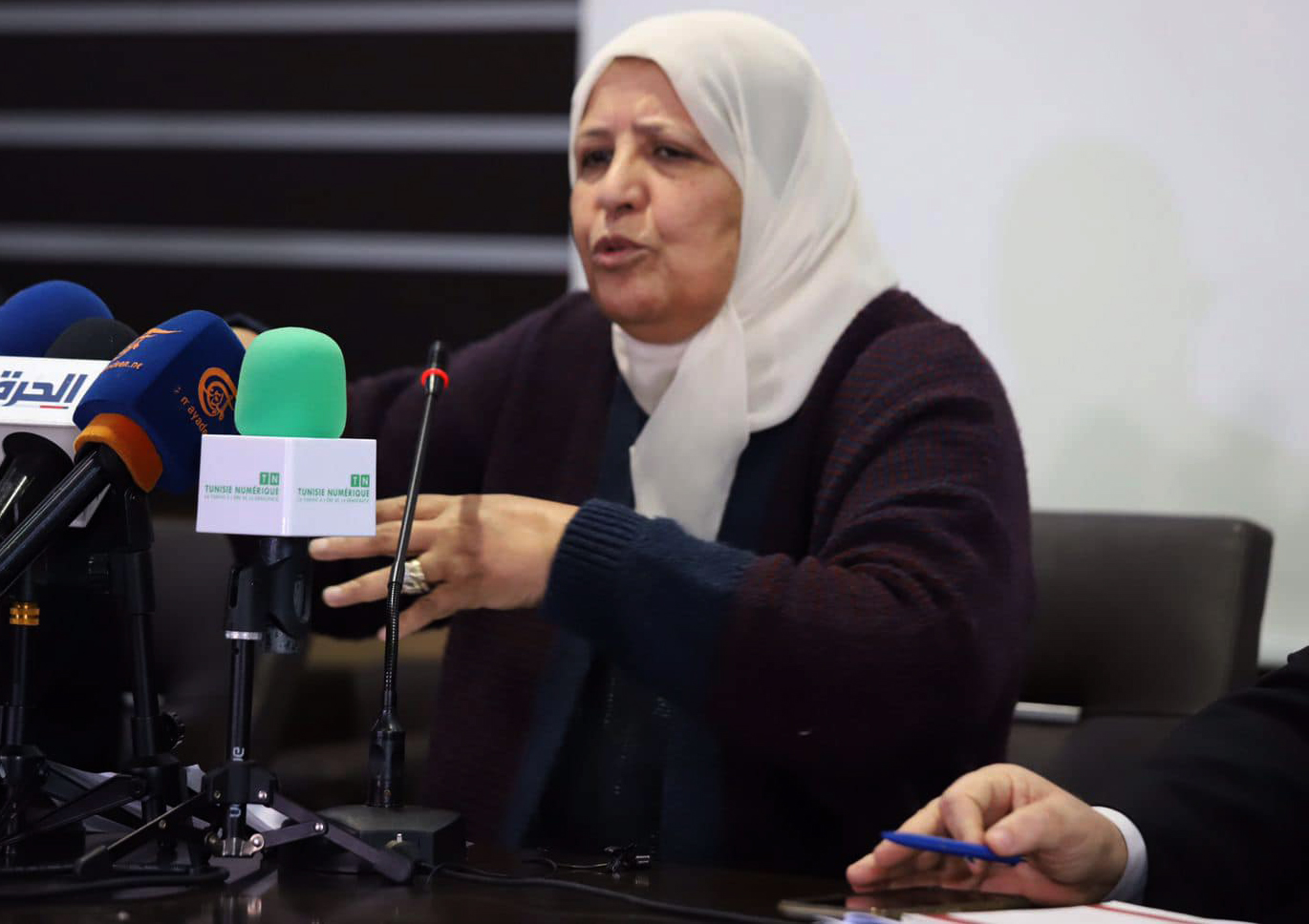 سعيدة العكرمي: سأدخل في إعتصام مفتوح إلى حين الإفراج عن البحيري