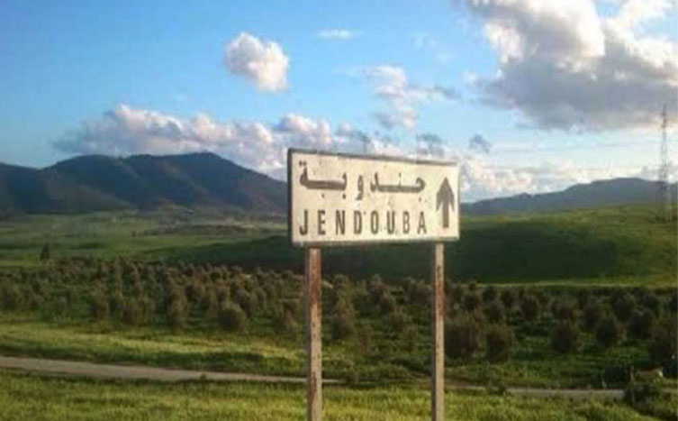 جندوبة / فيضان عدد من الأودية.. والحماية المدنية تحذّر