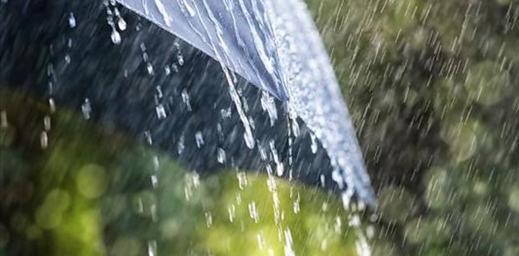  مؤشرات أمطار وثلوج الأسبوع المقبل.. محرز الغنوشي يوضح