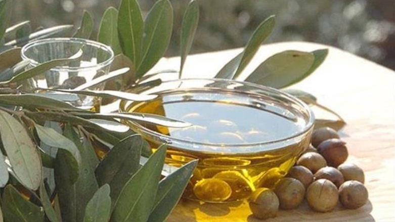 في المعرض الدولي للصناعات الغذائية بدبي..  زيت الزيتون التونسي المعلّب أمام أكثر من 2500 عارض و60 ألف زائر مهني