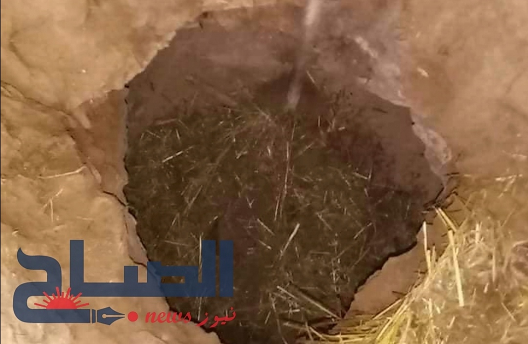 تختفي في حفرة داخل "زريبة" : القبض على عصابة متخصصة في السرقة