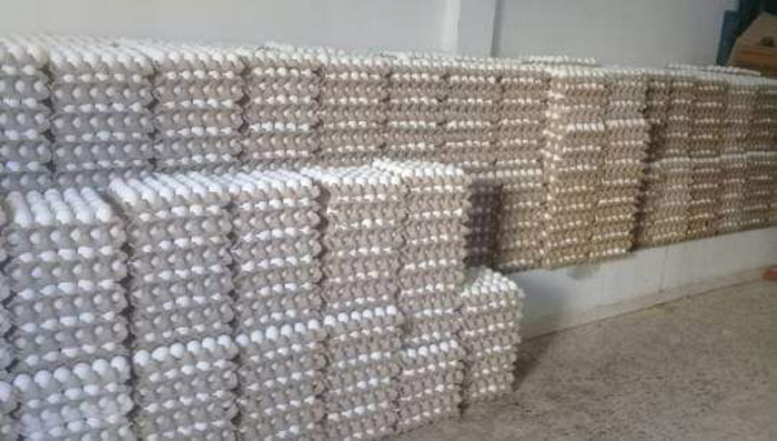 طبربة.. 57900 بيضة في قبضة المراقبة الاقتصادية 