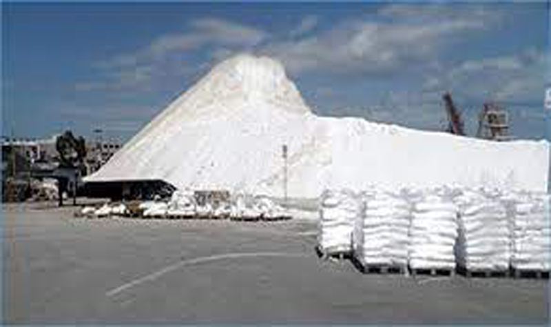 المديرة العامة للمناجم لـ"الصباح نيوز": انتاج تونس من مادة الملح ارتفع الى حوالي 2 مليون طن
