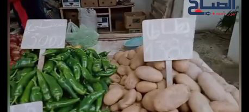القيروان / أسعار الفلفل والثوم في العلالي.. وإنخفاض في أسعار الخضر الورقية