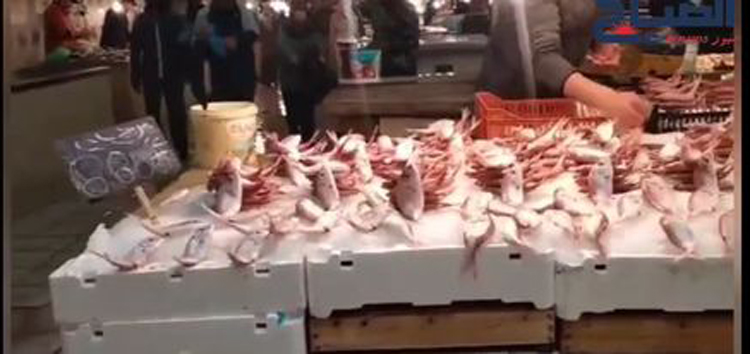 في اليوم الثالث من شهر رمضان..أسعار السمك بالسوق المركزية بالعاصمة" تكوي" والحريف يهجرها 