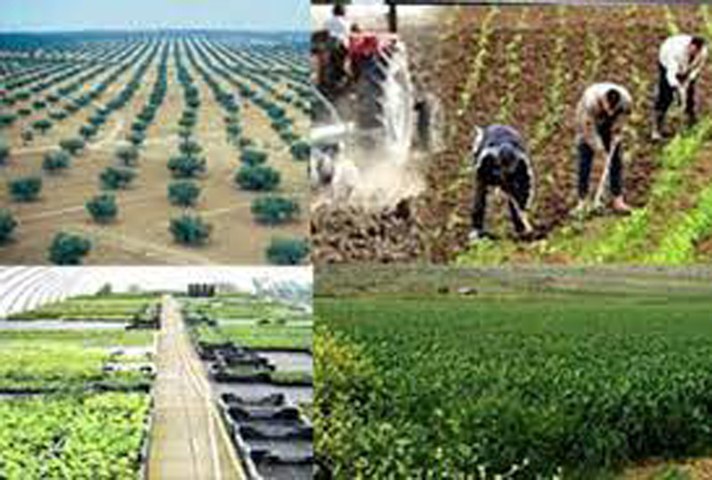 تطور قيمة الاستثمارات الفلاحية الخاصة المصادق عليها بـ 49.7%