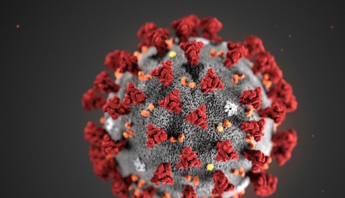 ظهور سلالة جديدة من فيروس كورونا.. والعوني يحذر