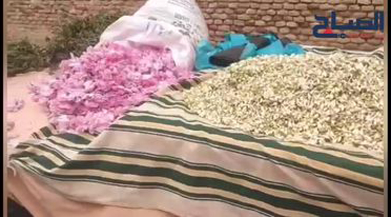 مهن موسمية في القيروان بيع الزهر والورد والعطرشاء للمحافظة على العادات التونسية 