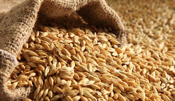  خلال بقية السنة..  مشتريات الحبوب التونسية ستصل الى 1.185 مليون  طن