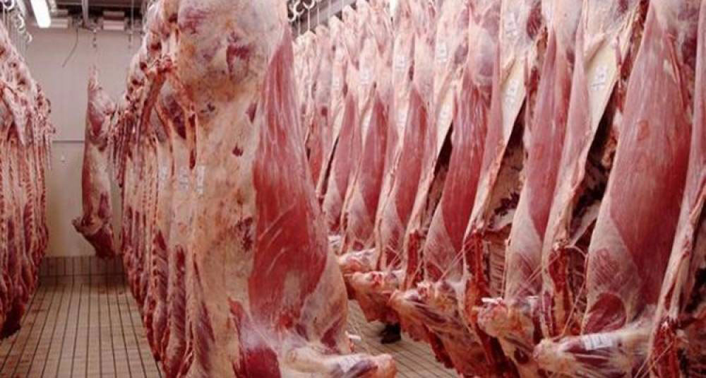 شركة اللحوم تفتح نقطة بيع قارة من المنتج الى المستهلك بمقرها...