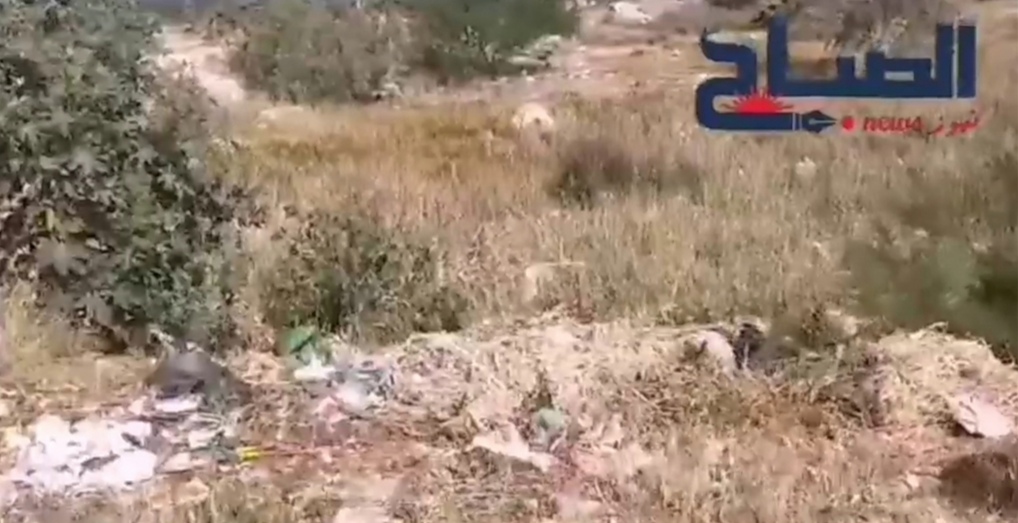  على حافتي الطريق بالبحيرة 2 ..أوساخ وفضلات حدائق وبناءات وكلاب سائبة .....فمن المسؤول؟