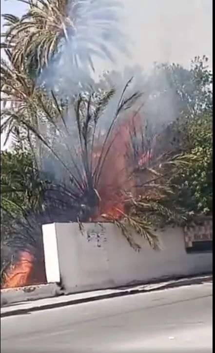 قابس..السيطرة على حريق في إحدى الغابات بمدخل المدينة