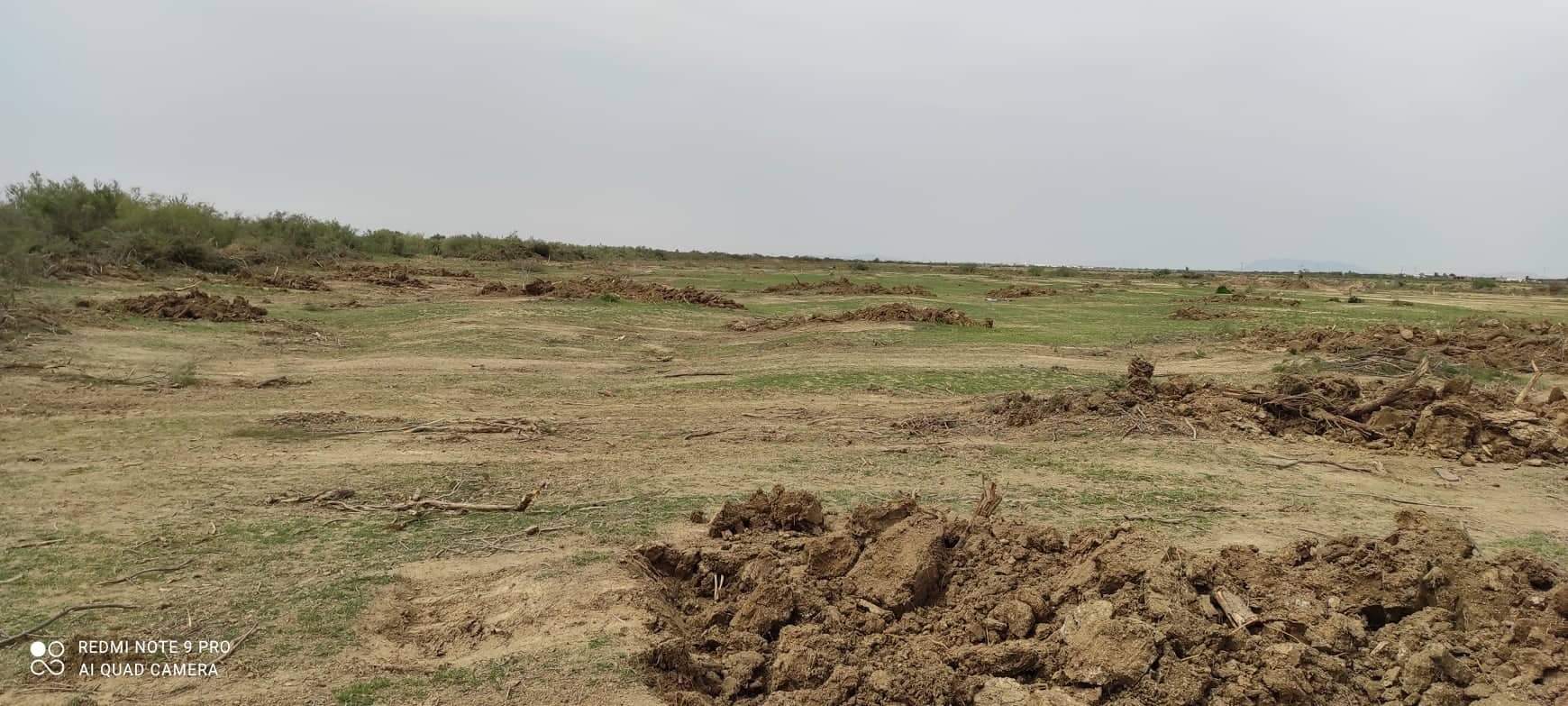 استعانوا بالجرافات/عدد من متساكني عمادة زرود  حاولوا الاستيلاء على 8 هكتارات من الملك العمومي.. و القضاء يتحرك