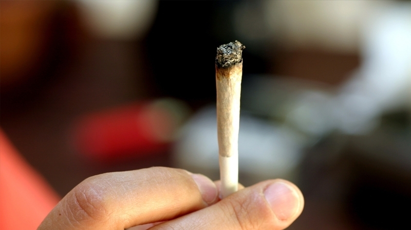 جومين.. القبض على مُروّجي "زطلة"