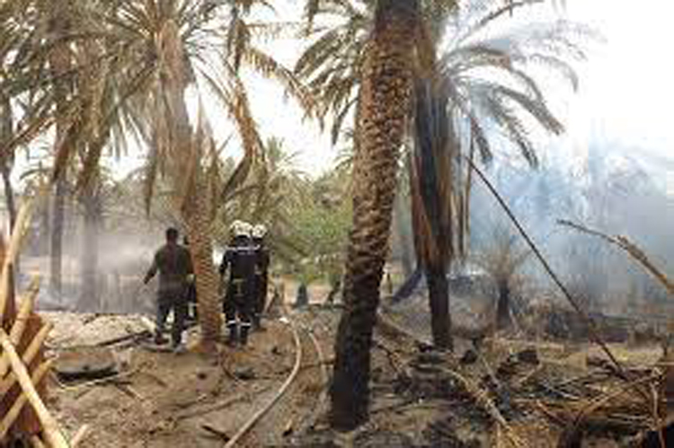 قابس..حريق في إحدى غابات الحامة