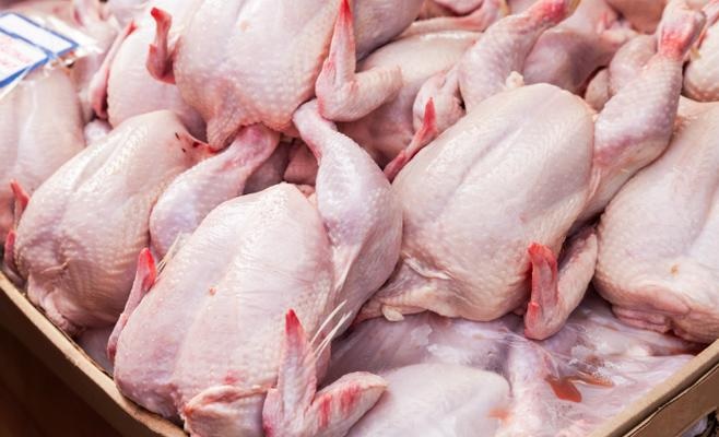 ترفيع "مُفاجئ ومُشط" في أسعار بيع اللحوم البيضاء.. رئيس غرفة تجار لحوم الدواجن يتّهم هؤلاء بـ"الإرهاب الغذائي"