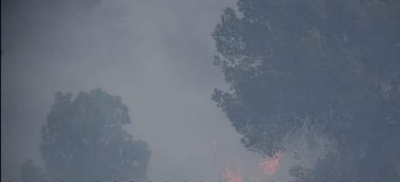  اتى على 25 هكتارا.. فتح تحقيق في حريق جبل بنت سعيدان