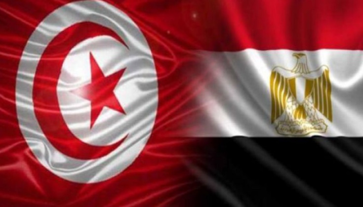 12 و13 ماي.. انعقاد الدورة 17 للجنة العليا المشتركة التونسية المصرية
