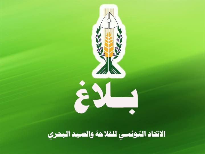 مسؤول باتحاد الفلاحة: انعقاد المجلس المركزي بالقيروان في اطار القانون.. والحضور قد تجاوز النصاب