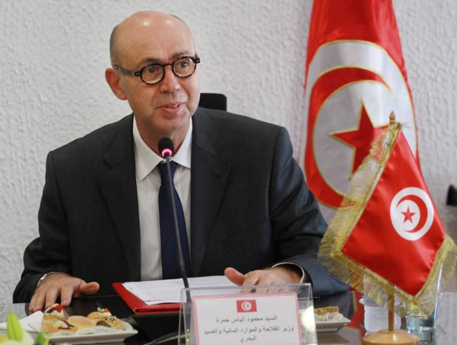وزير الفلاحة: توفر كل الظروف لإنجاح موسم الحصاد 