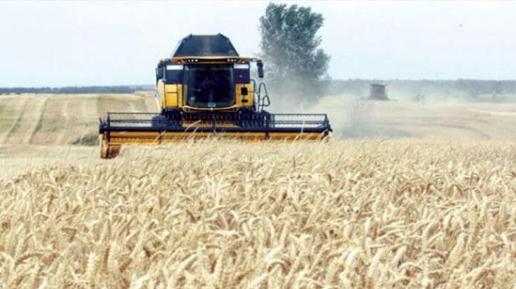 أريانة.. توقّعات بإنتاج حوالي 184 ألف قنطار من الحبوب 