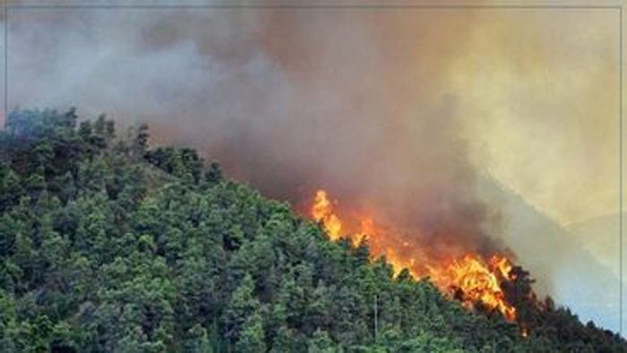 ‎قربص ..اندلاع حريق على مستوى جبل عين أقطر