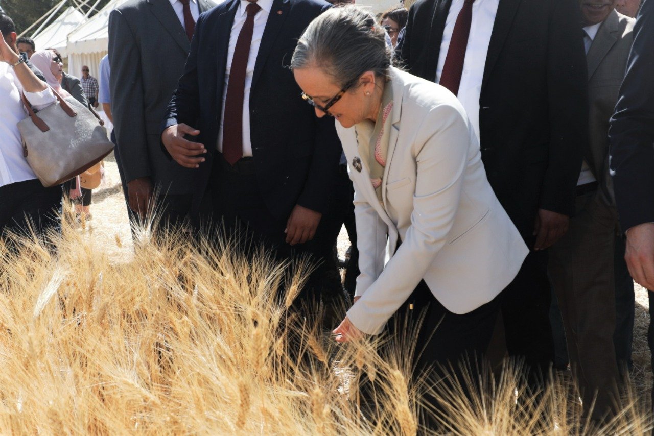  من سليانة.. رئيسة الحكومة تعطي شارة انطلاق موسم الحصاد 2022/2021