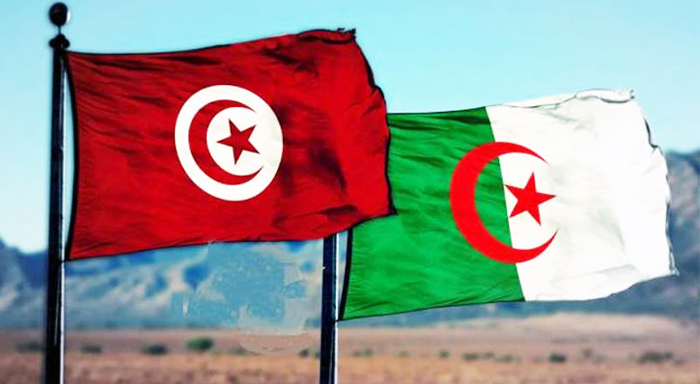 يهم مواطني البلدين .. تفاصيل الاتفاق  التونسي الجزائري لتسهيل نفاذ المسافرين في الاتجاهين 