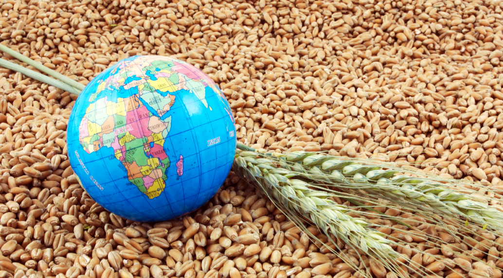  تقرير أممي: أزمة الغذاء قد تؤدي إلى ازدياد عدد النازحين حول العالم