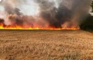   بلطة بوعوان..في حصيلة أولية حريق يأتي على7هكتارات من الحبوب