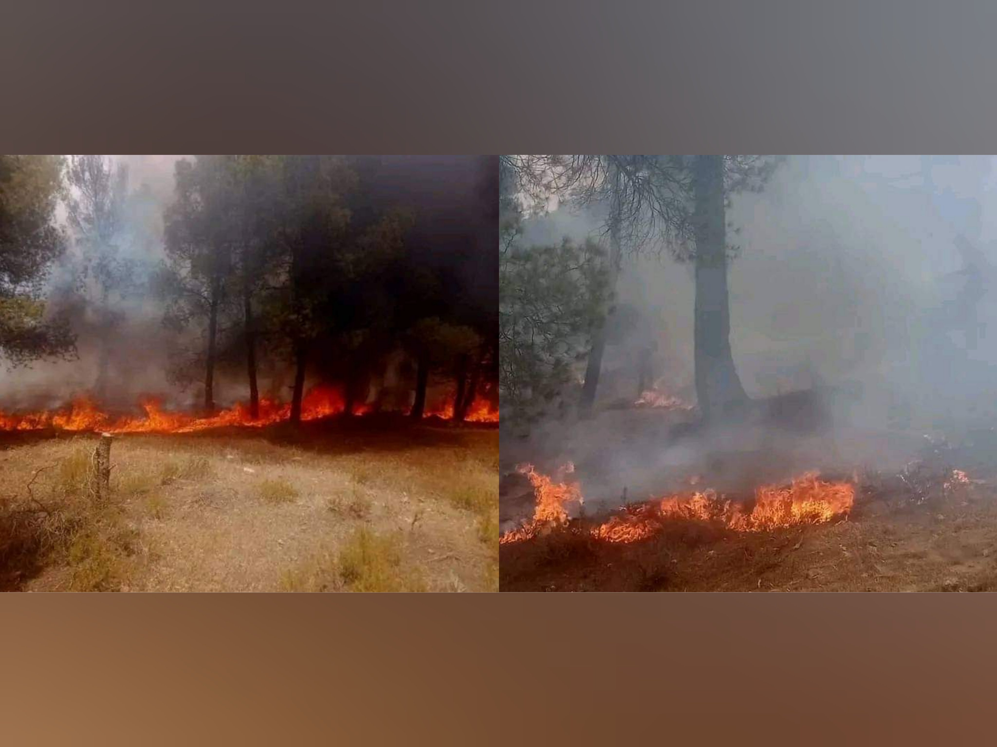 اندلع منذ اسبوع.. تواصل حريق جبل السلوم والسيطرة على حريقين آخرين بجبال القصرين