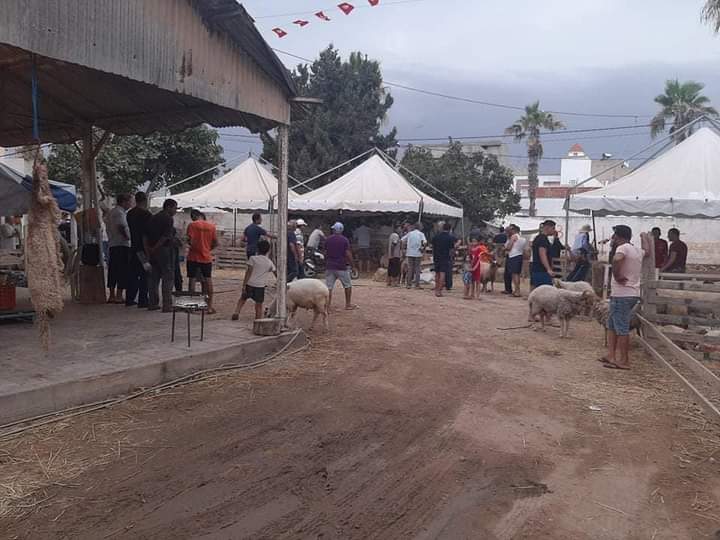 نقطة بيع أضاحي العيد بالقلعة الكبرى..تجربة أولى ناجحة قابلة لمزيد التّطوير